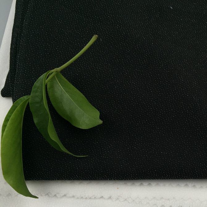 小经编黑 (3)