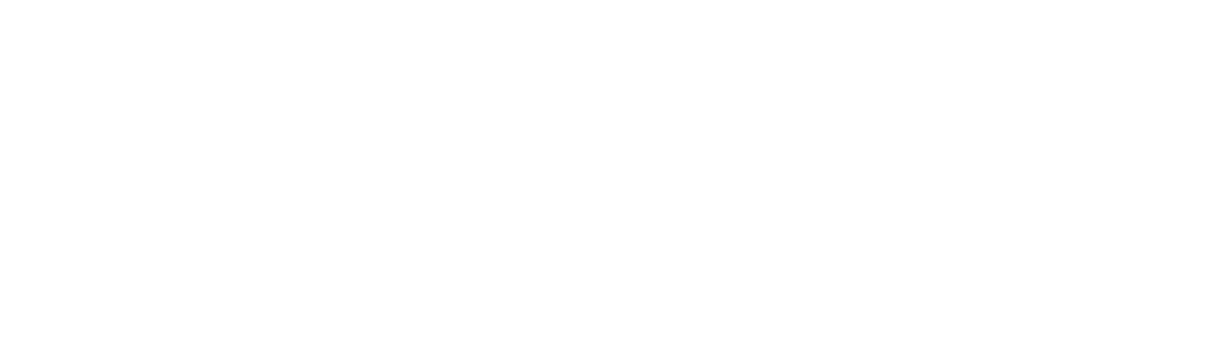 帝威衬布logo